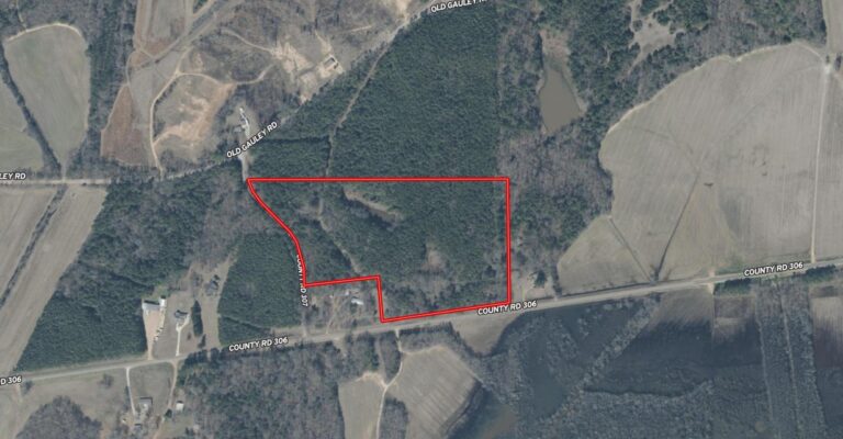 Screenshot 2025-03-08 160952