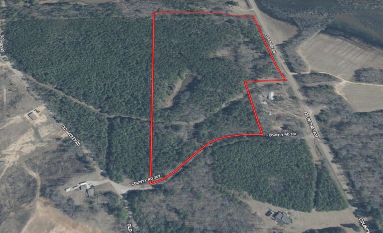 Screenshot 2025-03-08 161034