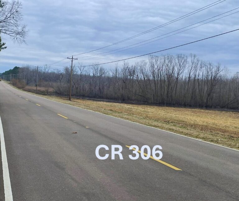 Untitled design(159)