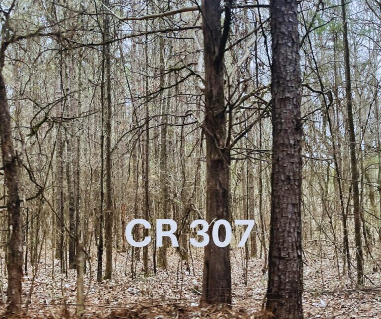 Untitled design(160)