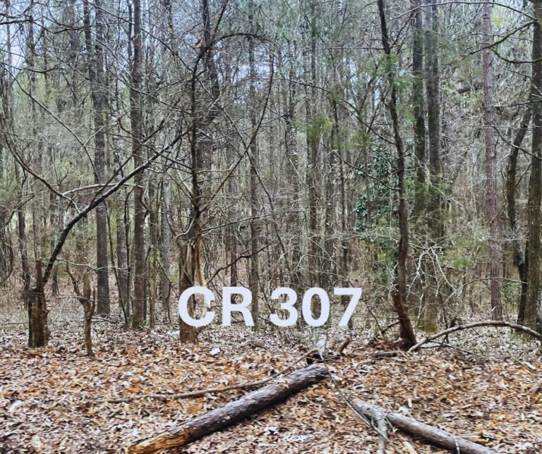 Untitled design(161)