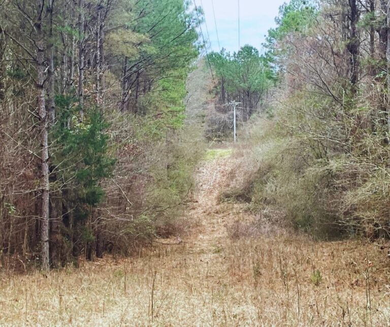 Untitled design(162)