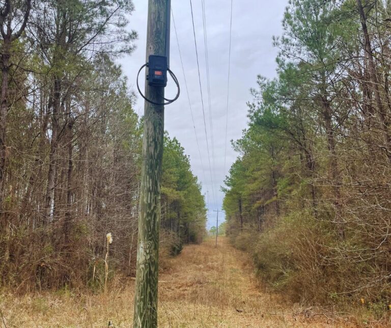 Untitled design(163)