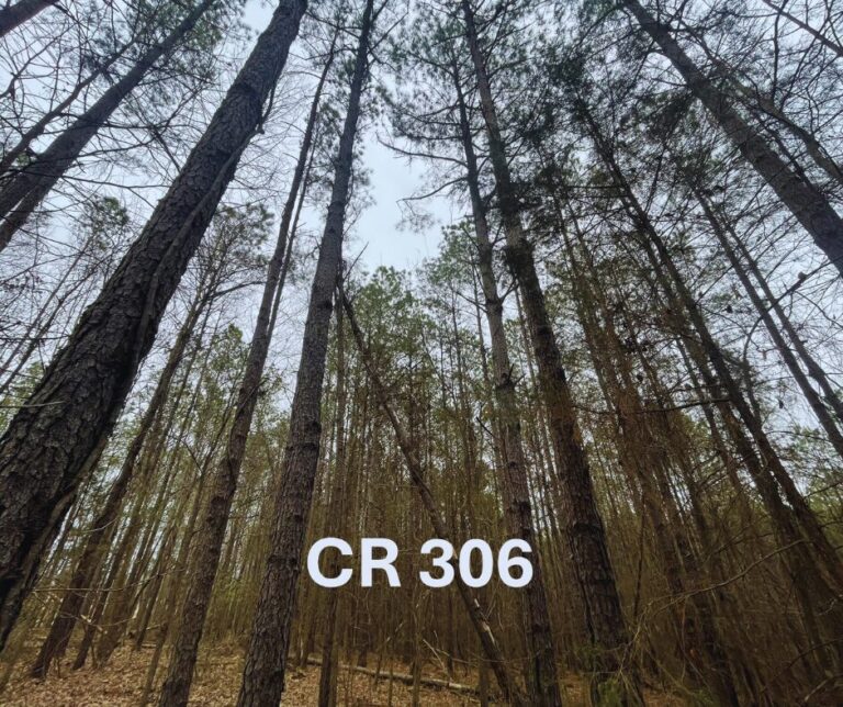 Untitled design(164)