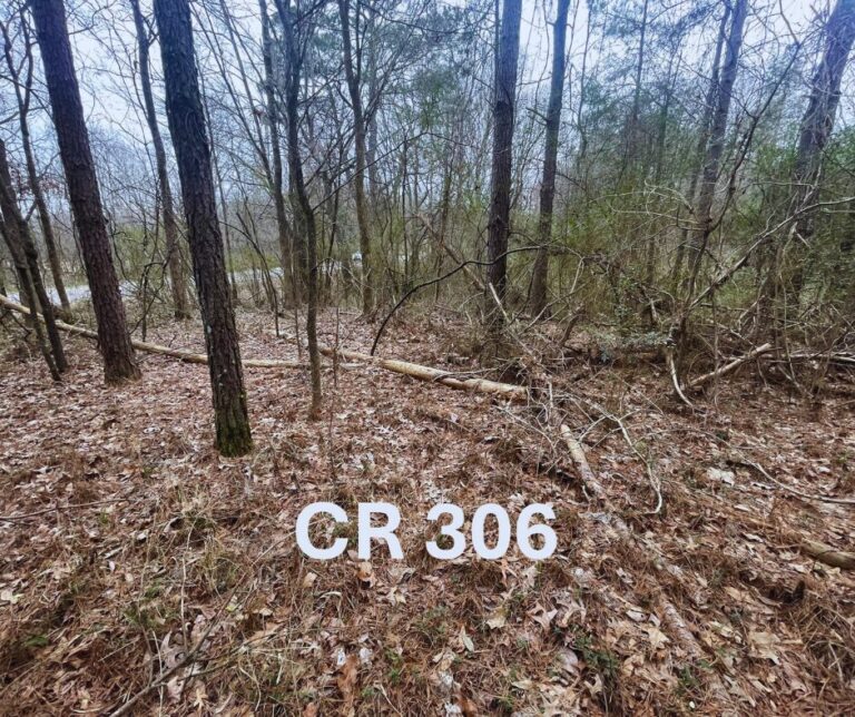 Untitled design(166)