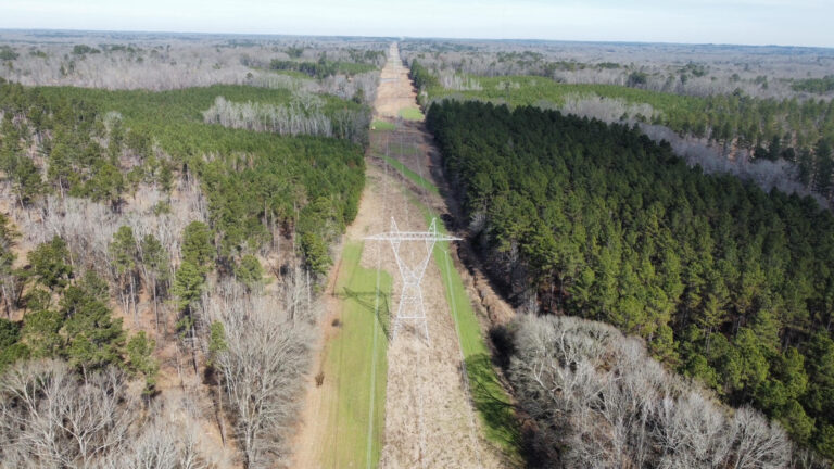 DCIM102MEDIADJI_0267