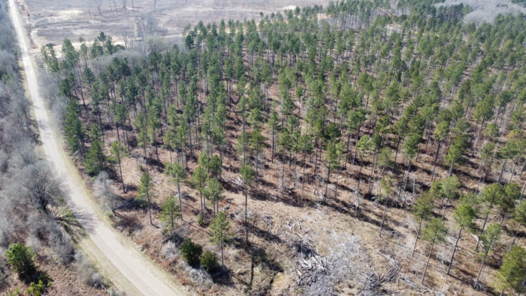 DCIM102MEDIADJI_0273