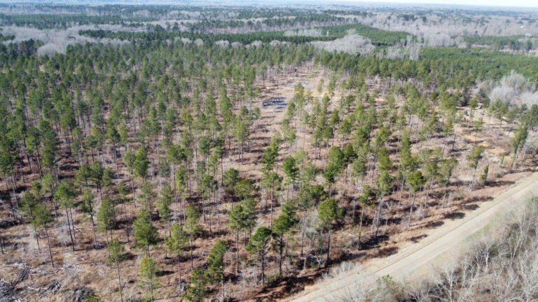 DCIM102MEDIADJI_0274