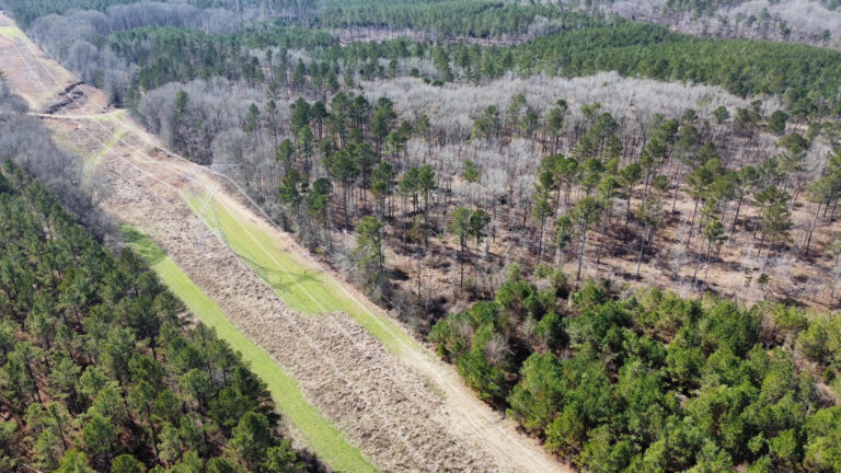 DCIM102MEDIADJI_0276