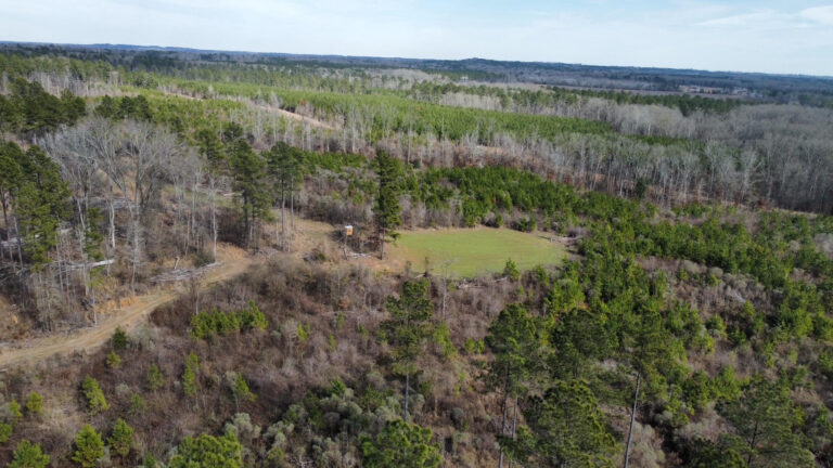 DCIM102MEDIADJI_0278