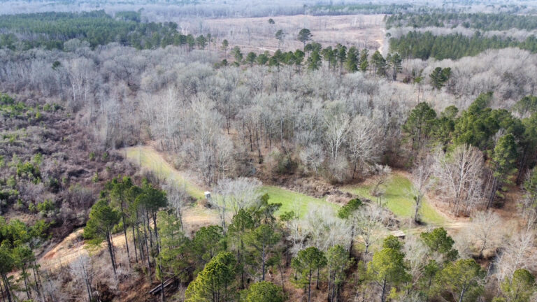 DCIM102MEDIADJI_0279