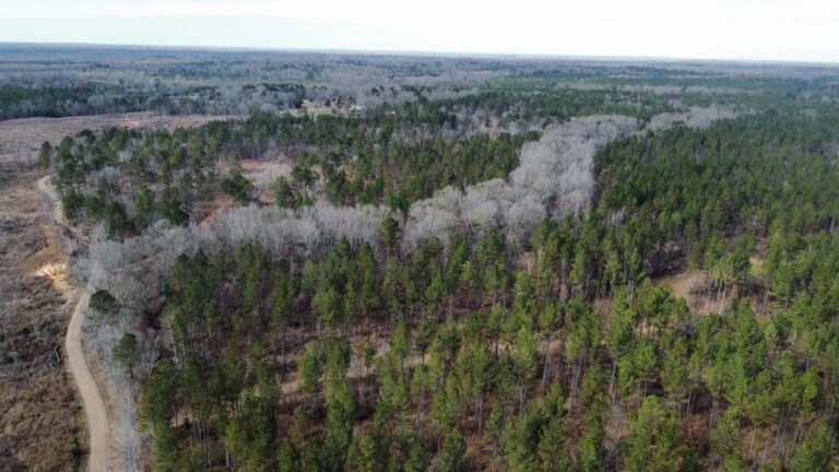 DCIM102MEDIADJI_0282