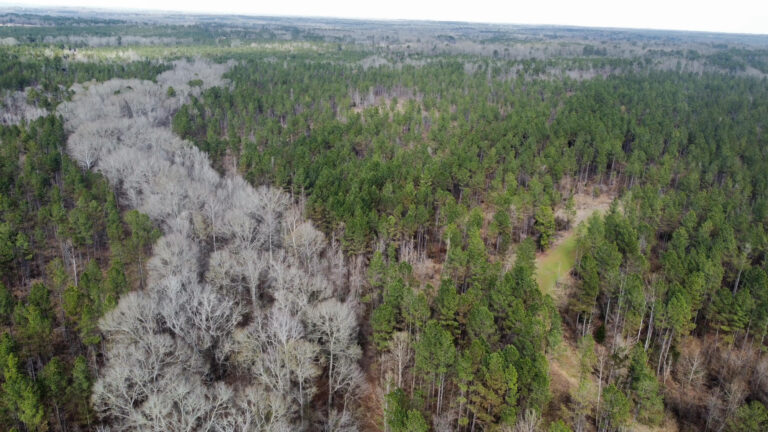 DCIM102MEDIADJI_0284