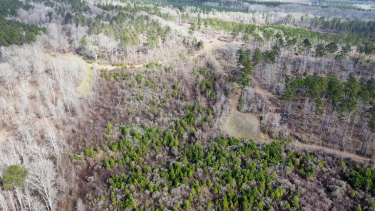 DCIM102MEDIADJI_0294