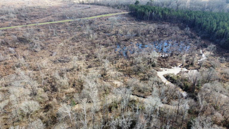 DCIM102MEDIADJI_0299