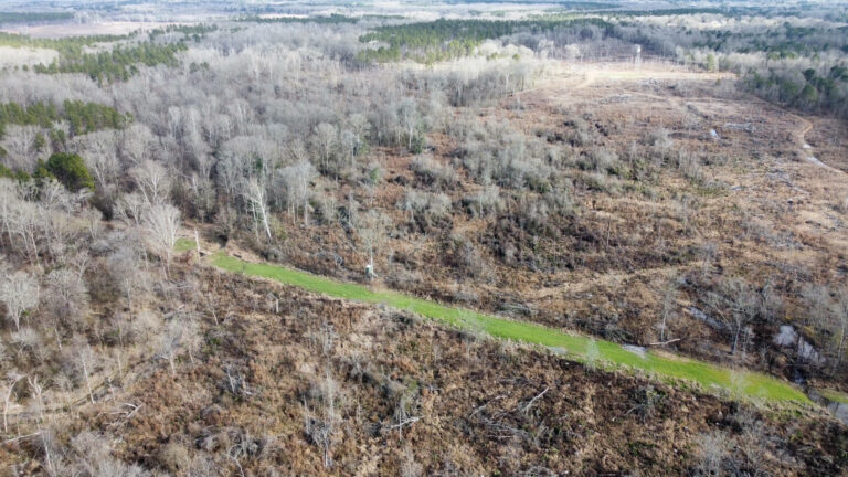 DCIM102MEDIADJI_0302