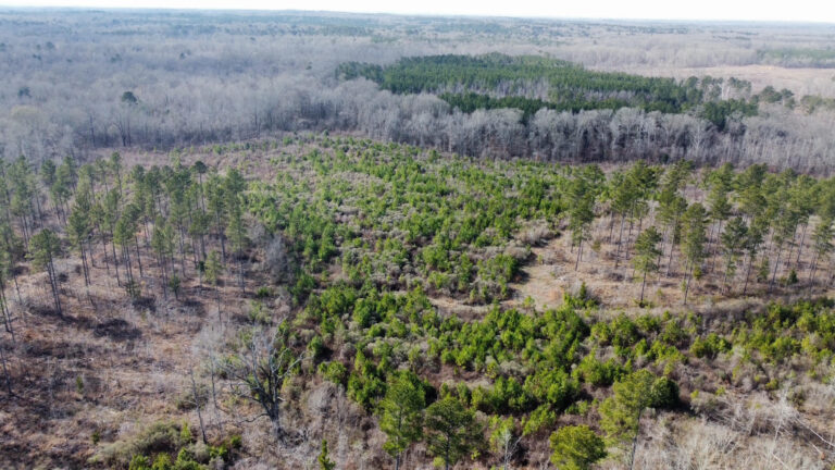 DCIM102MEDIADJI_0309