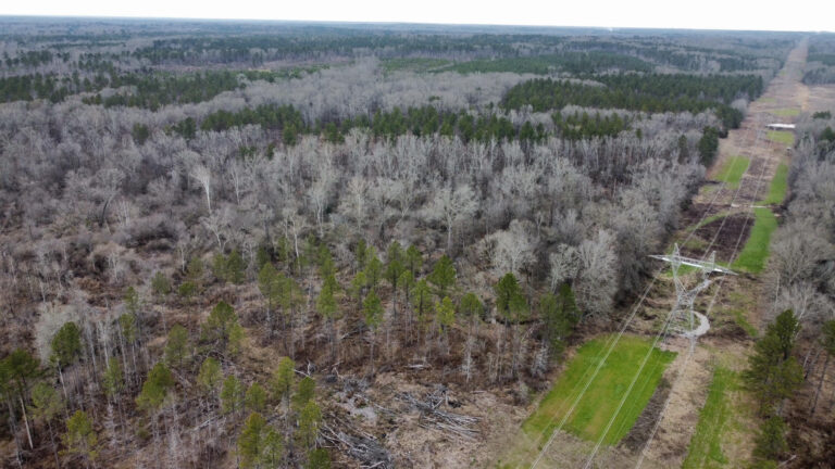 DCIM102MEDIADJI_0322