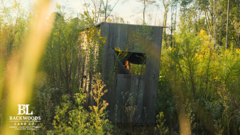 hayes leak county pics12