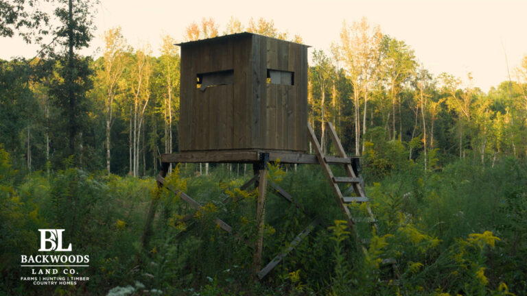 hayes leak county pics13