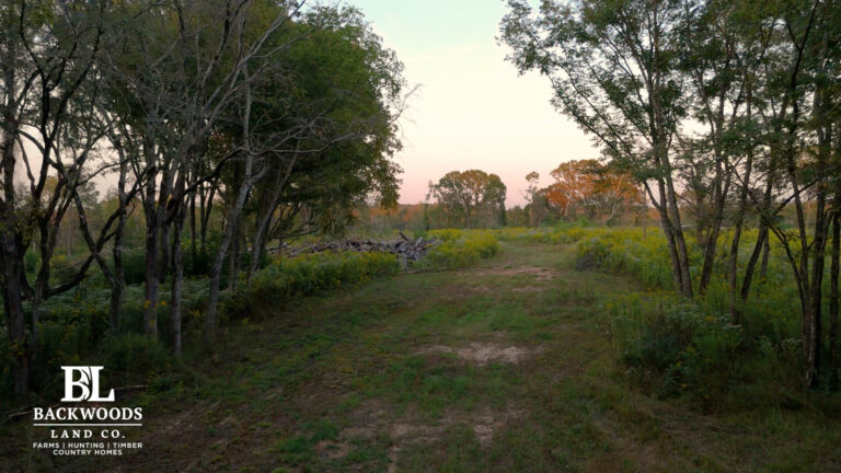 hayes leak county pics15