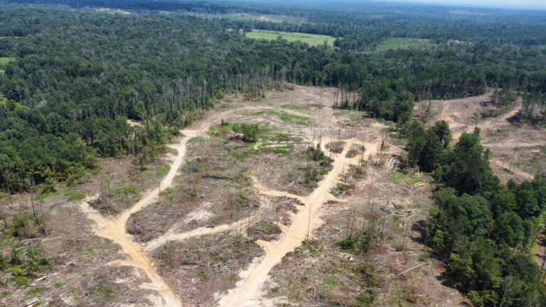 DCIM101MEDIADJI_0984