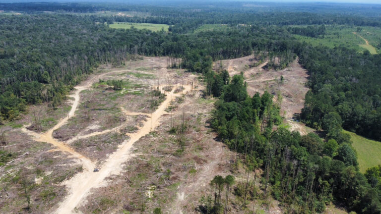 DCIM101MEDIADJI_0985