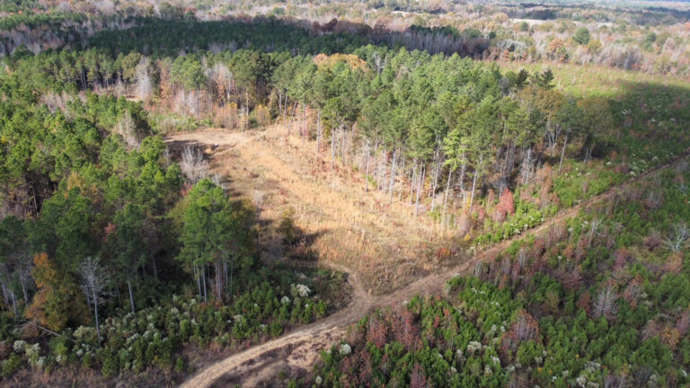 DCIM102MEDIADJI_0205