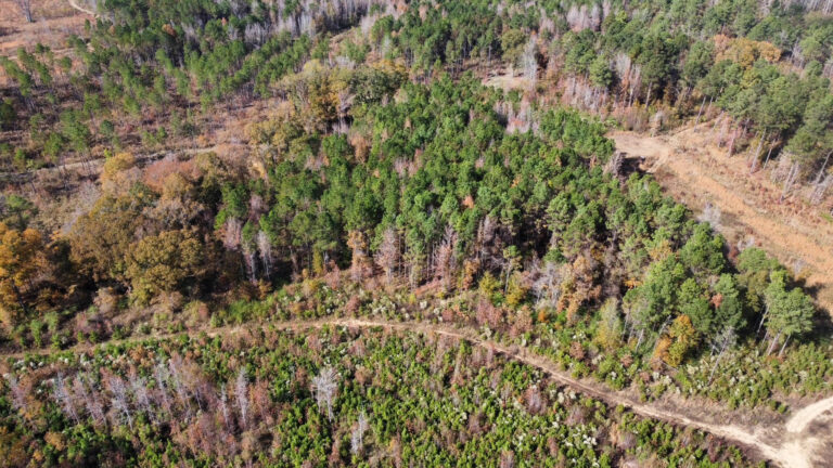 DCIM102MEDIADJI_0207