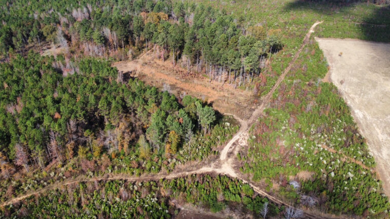 DCIM102MEDIADJI_0208