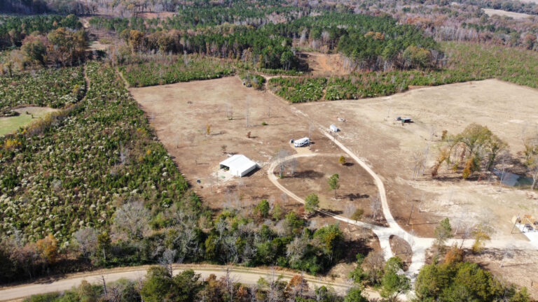 DCIM102MEDIADJI_0209