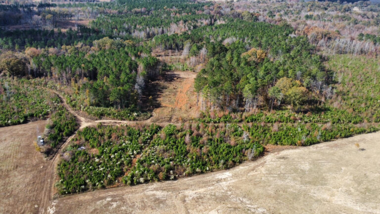 DCIM102MEDIADJI_0210