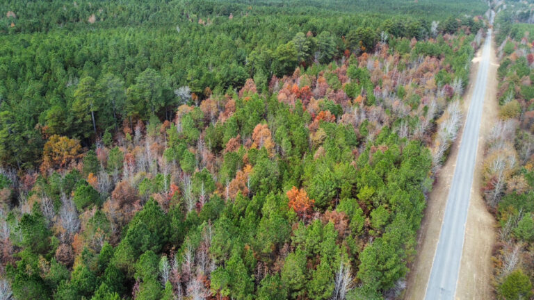 DCIM102MEDIADJI_0186