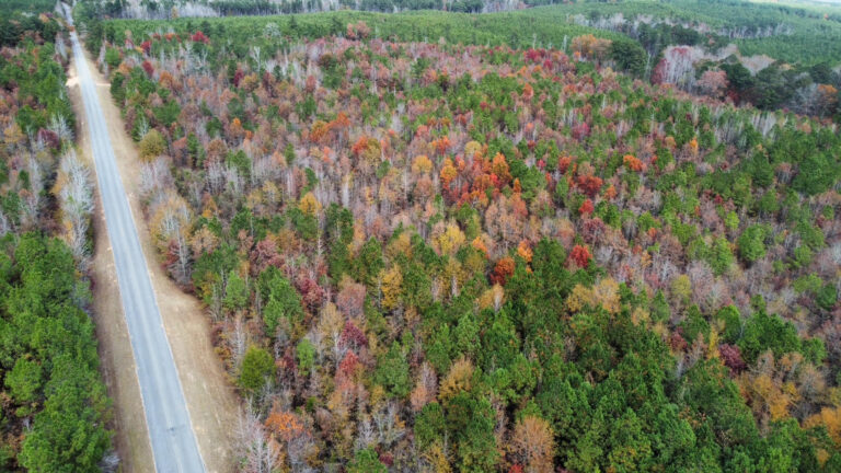 DCIM102MEDIADJI_0187