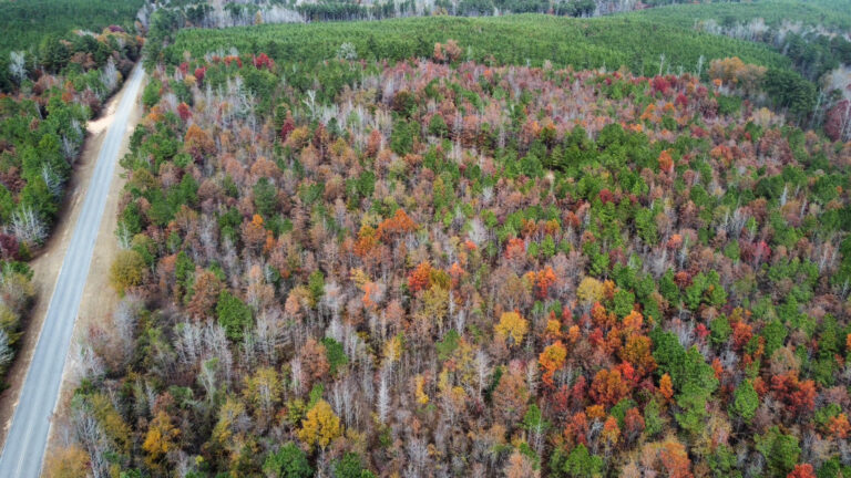 DCIM102MEDIADJI_0188