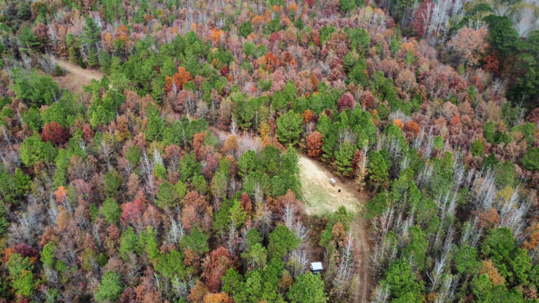 DCIM102MEDIADJI_0189