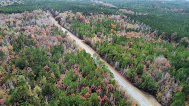 DCIM102MEDIADJI_0191