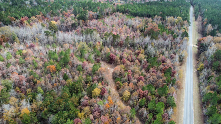 DCIM102MEDIADJI_0193