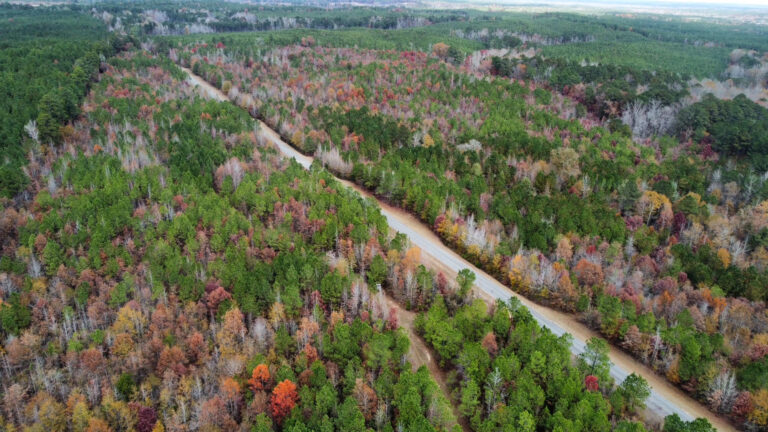 DCIM102MEDIADJI_0196