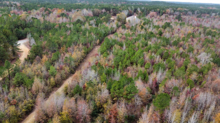 DCIM102MEDIADJI_0199