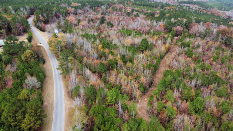 DCIM102MEDIADJI_0201