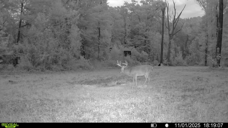 016579007341618-35-4-11012025181907-V-SYFW01356 copy