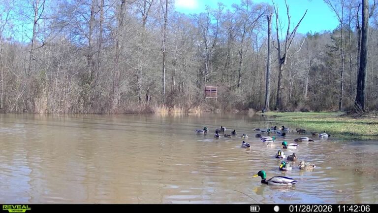 016579007341618-50-3-01282026114206-V-SYFW03678 copy