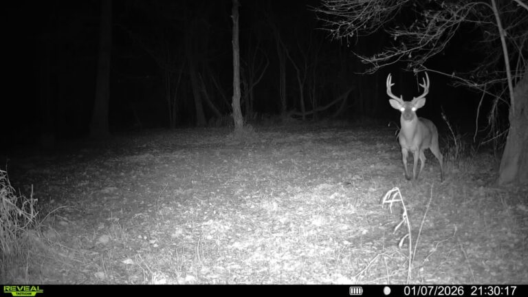 016579007436863-73-3-01072026213017-V-SYFW00523