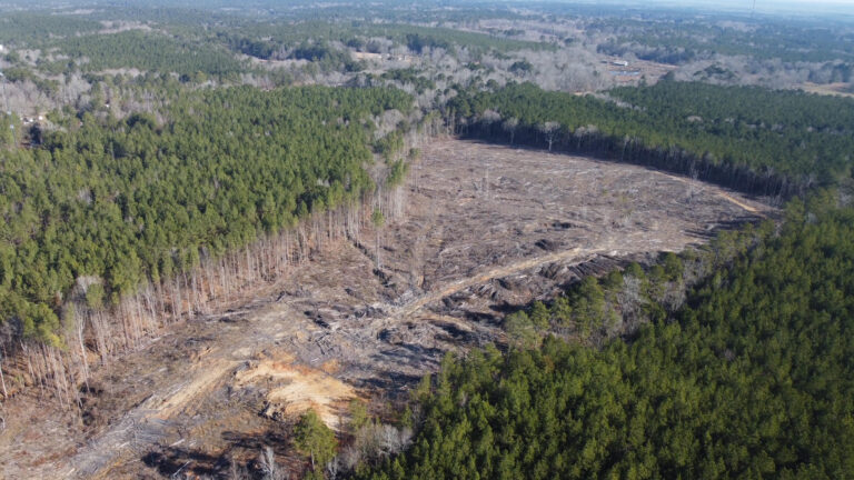 DCIM101MEDIADJI_0558