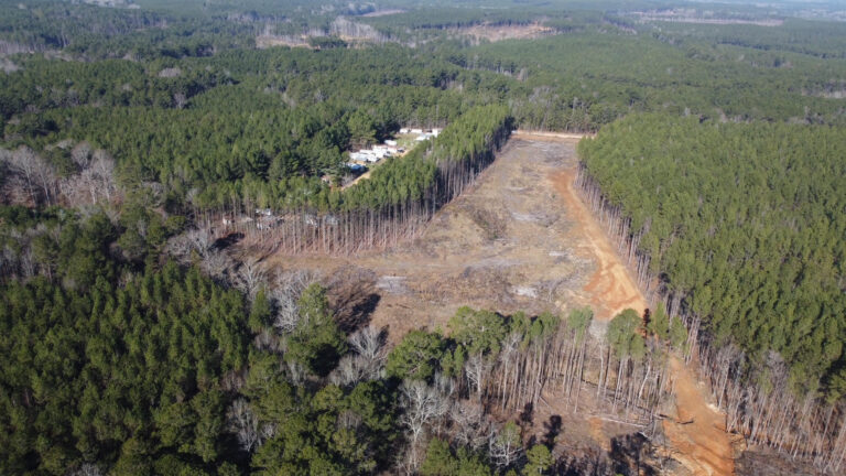 DCIM101MEDIADJI_0559