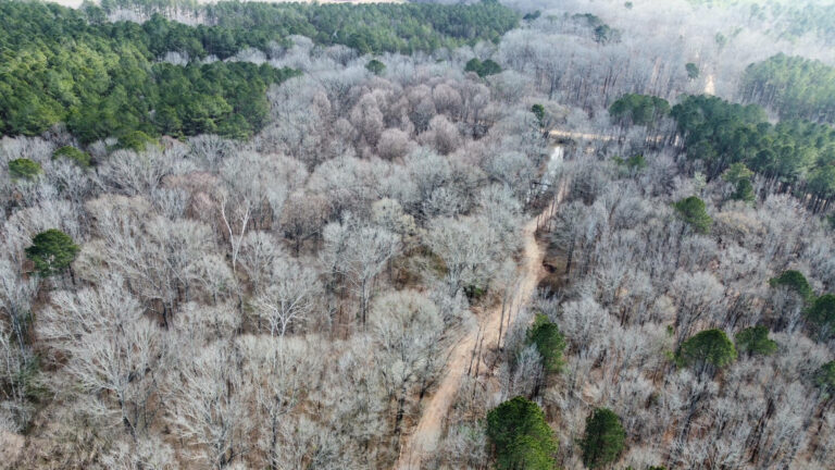 DCIM102MEDIADJI_0341