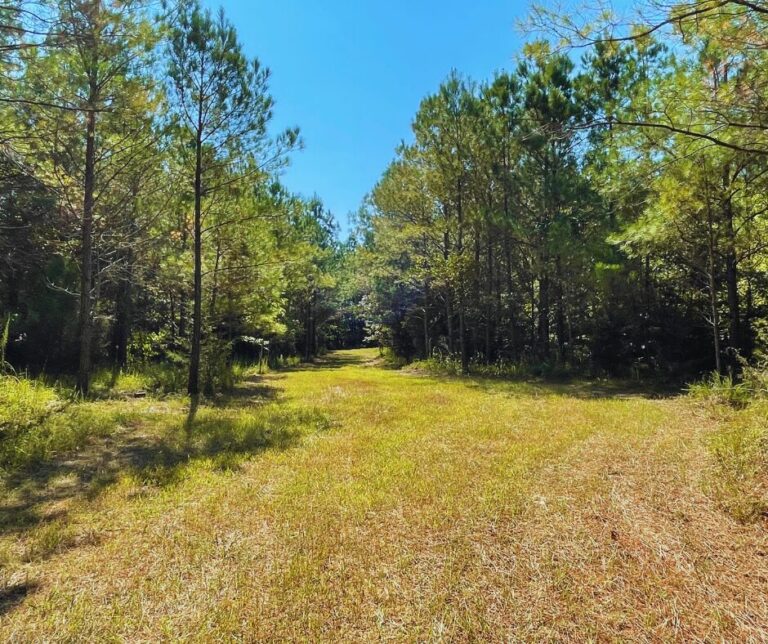 Copy of Untitled Design(23)