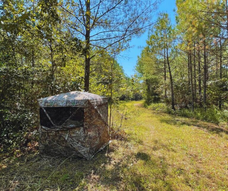 Copy of Untitled Design(24)