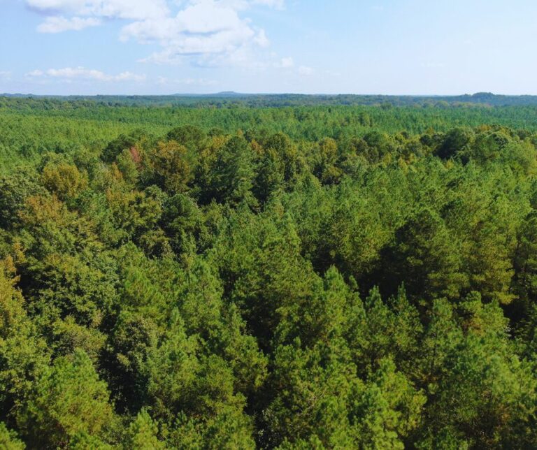 Copy of Untitled Design(27)